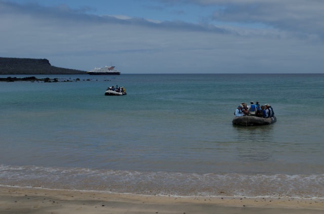 Returning to the Silver Galapagos' zodiacs for our short journey to Post Office Bay. Photo © 2014 Aaron Saunders